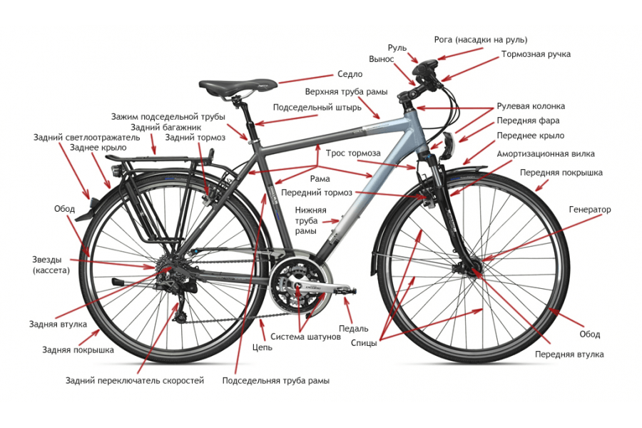 Покупка шоссейного велосипеда в Москве: помощь в выборе